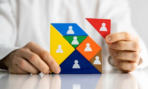 Talent Mapping Roles and Functions